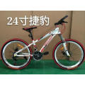 Jiebao Model Mountain Bicycle MTB Mountain Bike